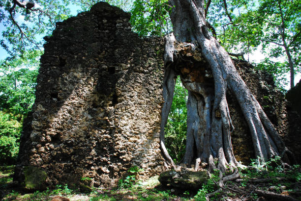 Gedi Ruins Guided Tour